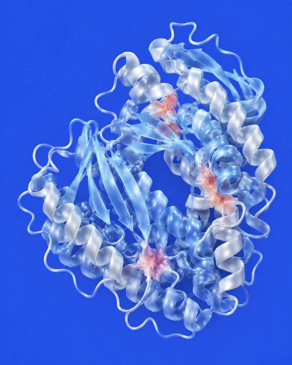 A folded molecular ribbon in pearl white and blue